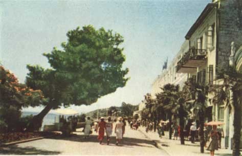 Вячеслав Антонов