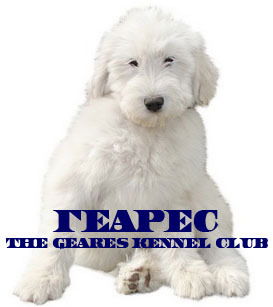 Марина Павлова