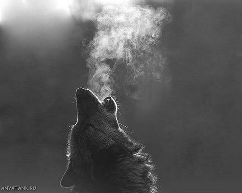 Руслан Близнец