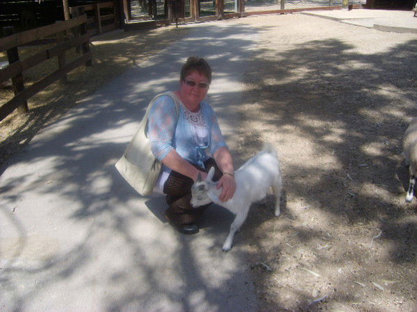 Елена Купчик