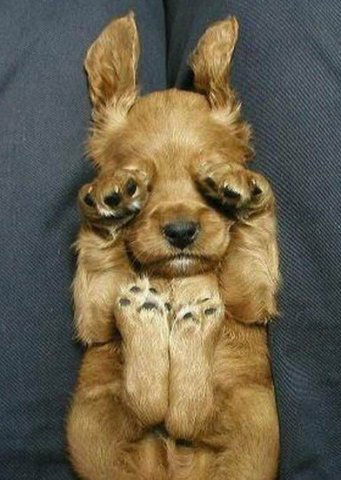 Анатолий Александров