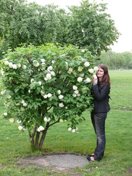 Светлана Мустаева