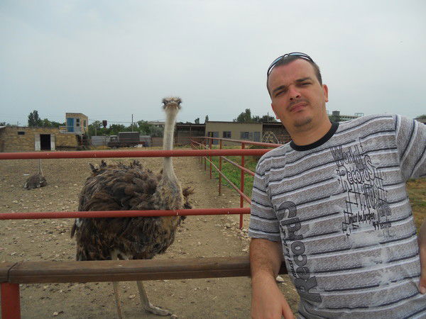 Виталий Тома