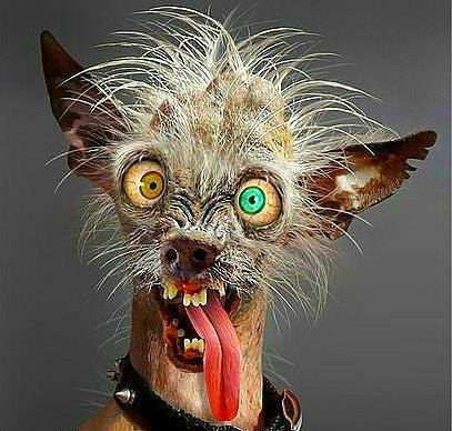 Мишка Гришин