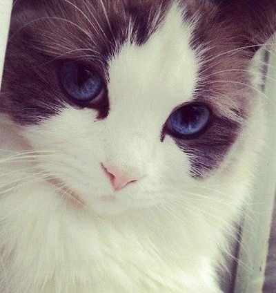 Жанара Кузембаева