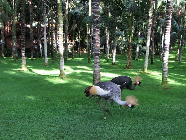 Роза Сулейменова