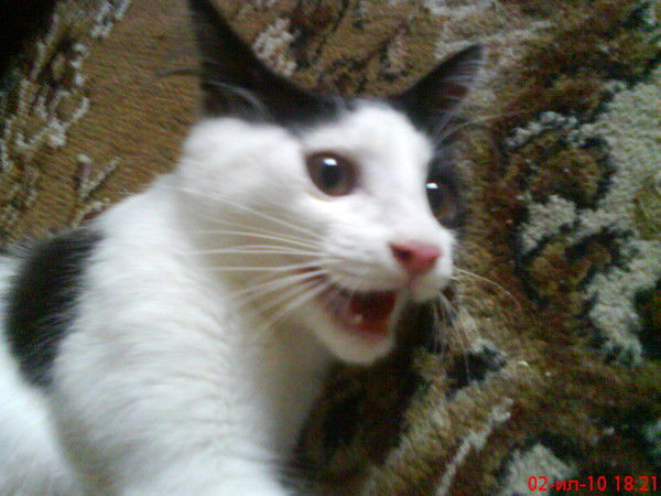 Билык Наталья