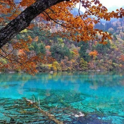 Маргарита Иванова