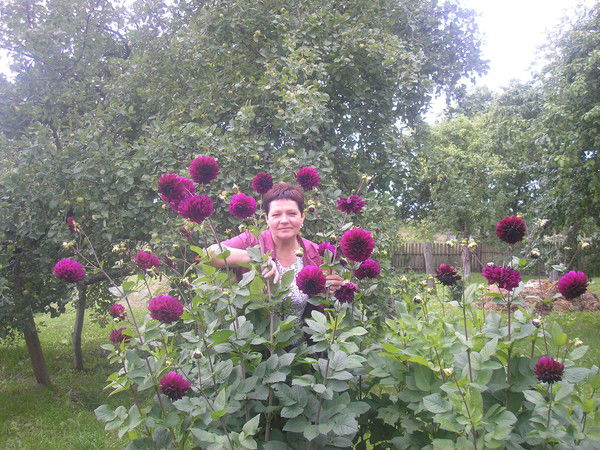 Светлана Петренко