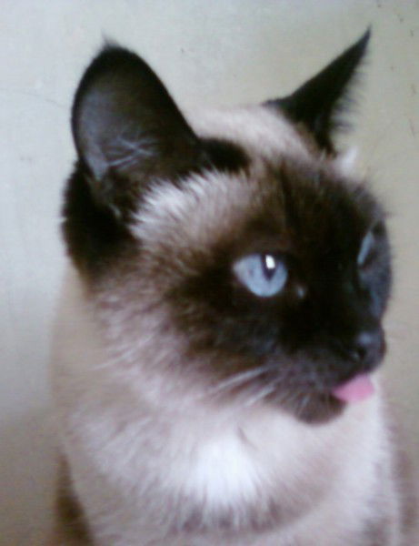 Виктория Шабунина