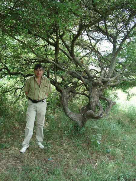 Владимир Тарасенко