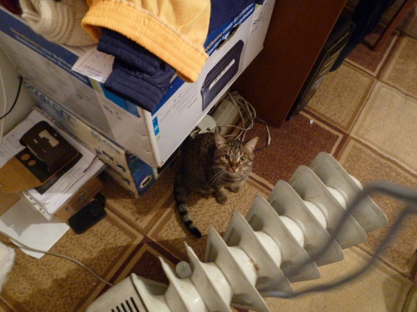 Кирилл Лаптев