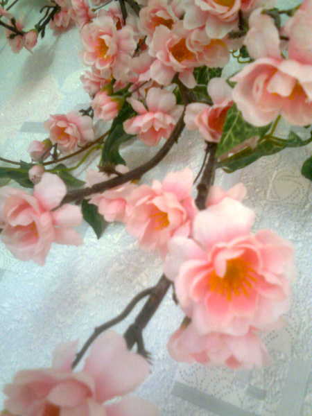 Татьяна Павлова