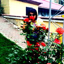 Raushan Aldabergenovna