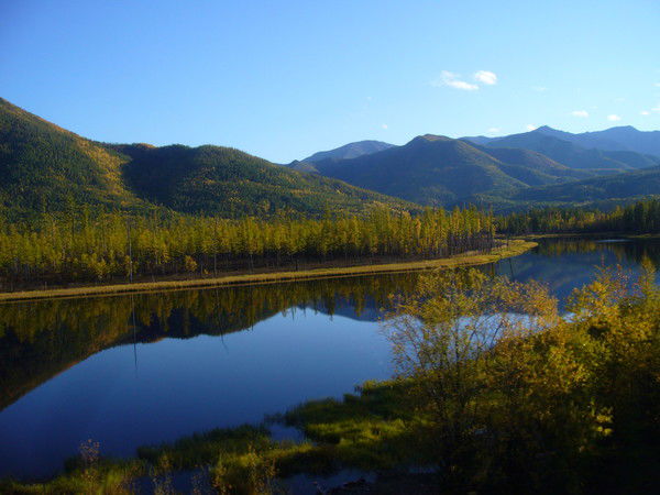Андрей Аполонин
