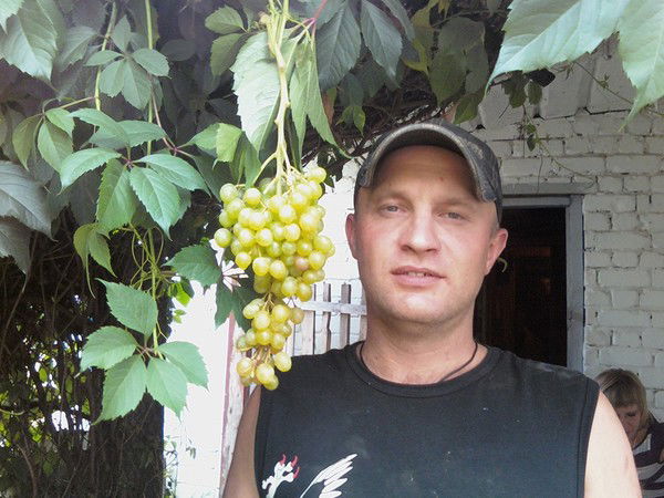 Сергей Алексеев