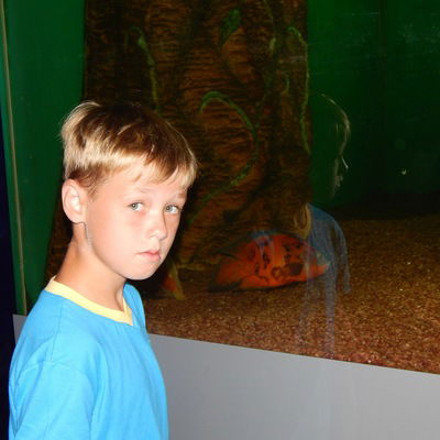 Илья Растегаев