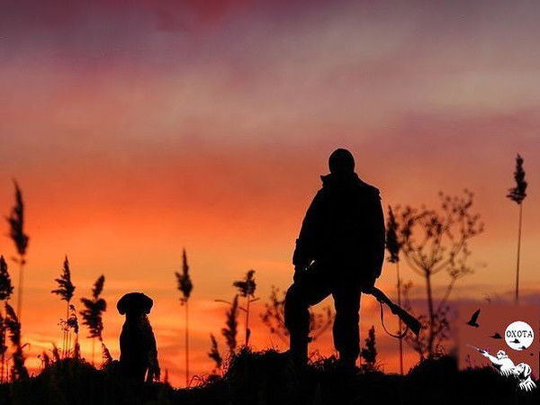 Раис Басыров