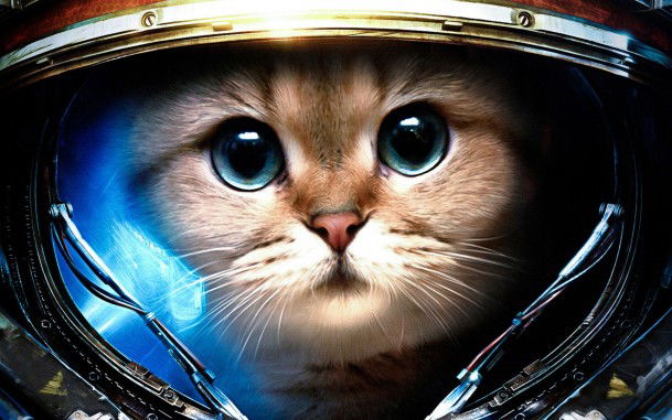 Андрей Шайхулов