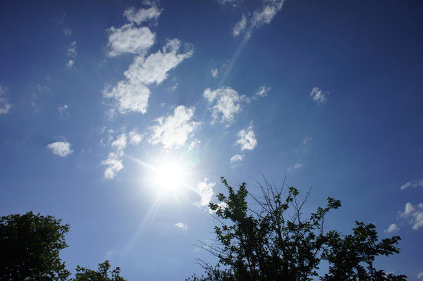 Наталья Чередник