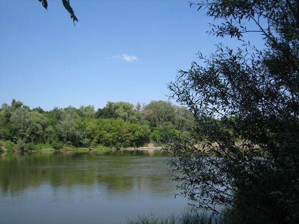 Ксения Волкова