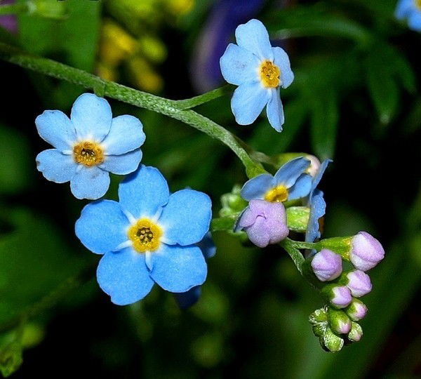 Марина Ткачева