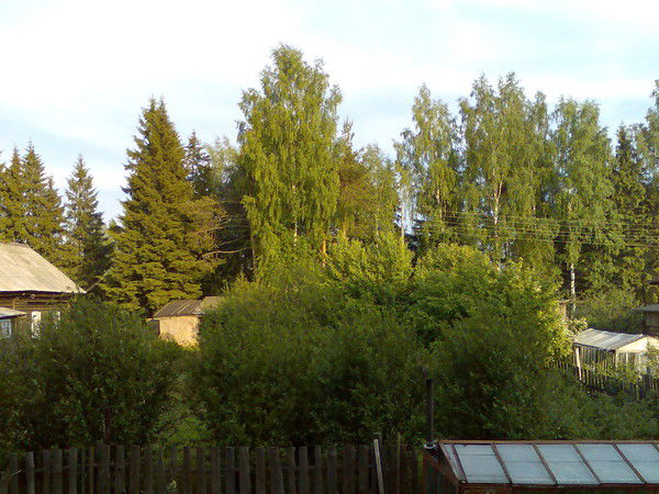 Сергей Ральников