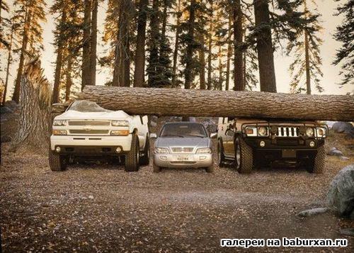 Борис Плотников