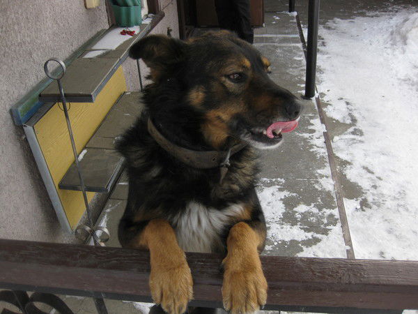 Александр С