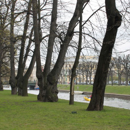 Дарья Прошина