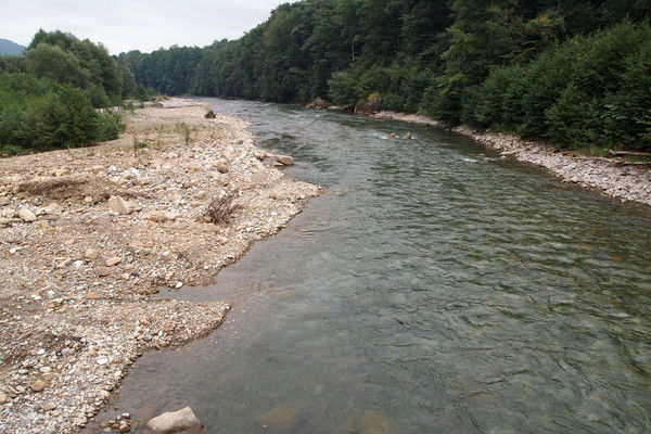 Александр Бычков