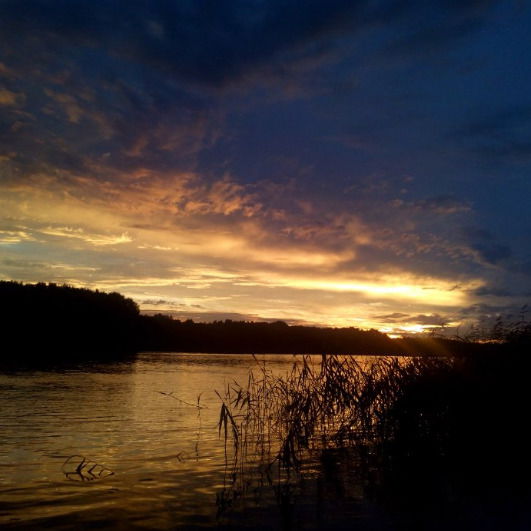 Евгений Романов