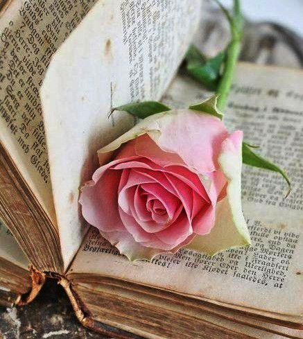 Ирина Малютина Чиркова