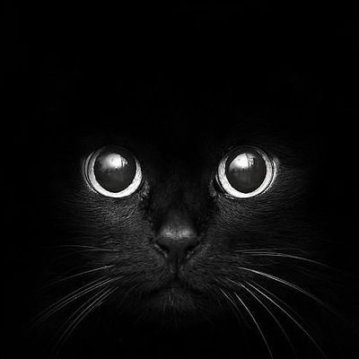 Елизавета Журавлева