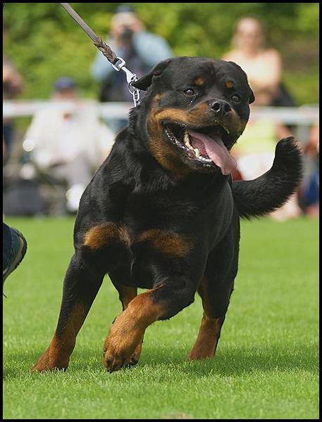 Александр Jack