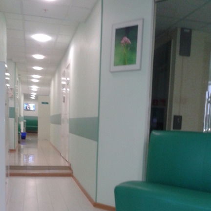 Мартин Греи