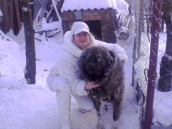 Елена Демченко