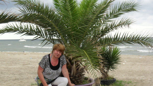 Вера Меркулова