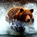 Тов Тк Спецсплав