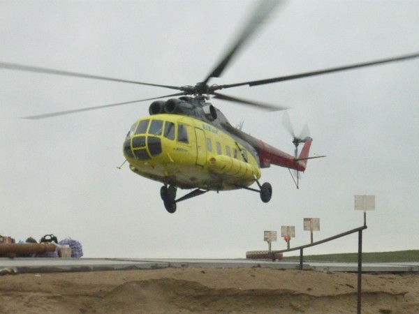 Алекс Терентьев