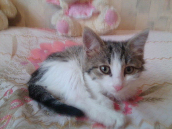 Наталья Щапова