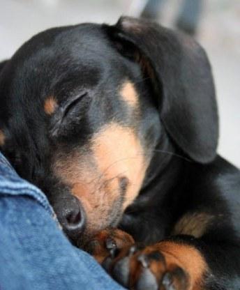 Наталья Горбунова