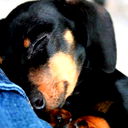 Наталья Горбунова