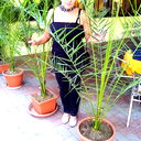 Zina Pelypiv