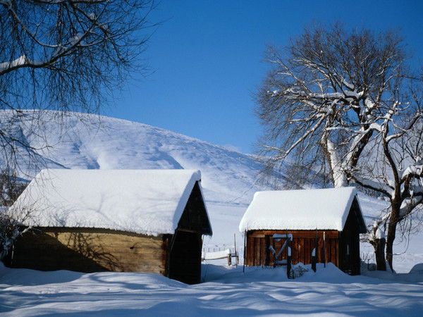 Зао Рямовское