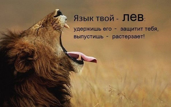 Жандос Толеген