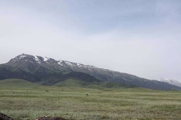 Жомарт Касымбек