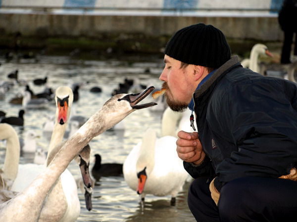 Саша Волков