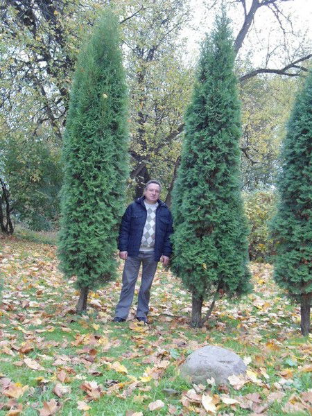 Сергей Алькевич