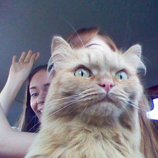 Кристина Хршн